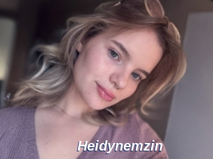 Heidynemzin