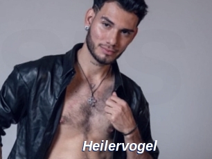 Heilervogel