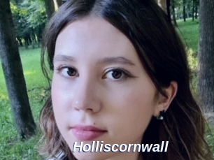 Holliscornwall