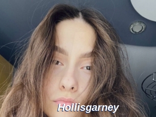 Hollisgarney