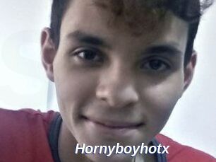 Hornyboyhotx
