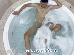 Hornywildboy