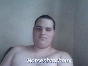Horsesbatchelor