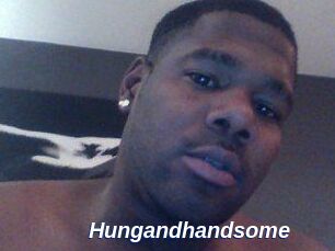 Hungandhandsome