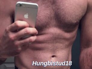 Hungbistud18