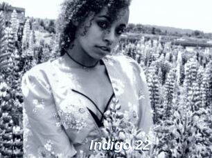 Indigo_22