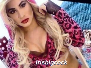 Irisbigcock