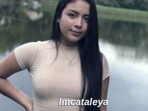 Imcataleya