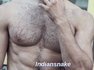 Indiansnake