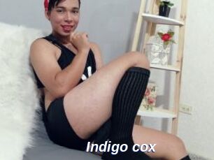 Indigo_cox