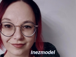 Inezmodel