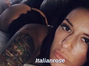 Italianrose