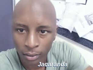Jacaranda