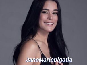 JaneMariebigatla