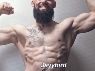 Jayybird