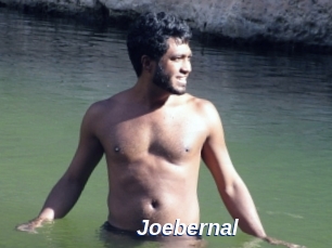 Joebernal