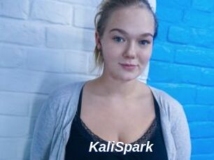 KaliSpark