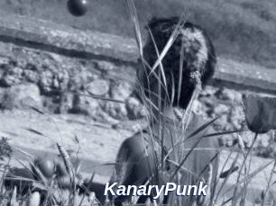 KanaryPunk