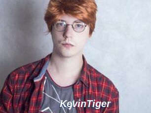 KevinTiger