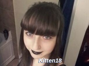 Kitten18