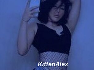 KittenAlex