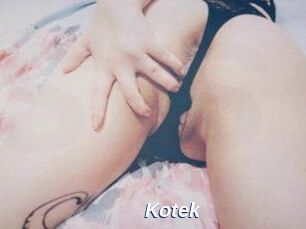 Kotek