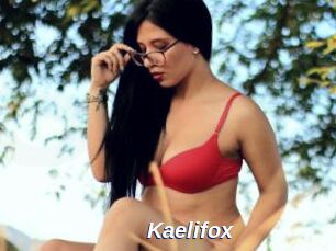 Kaelifox