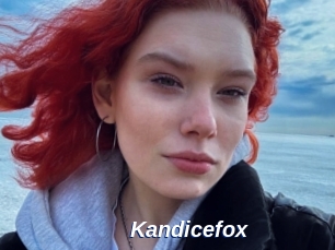 Kandicefox