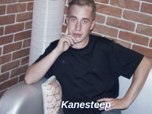 Kanesteep