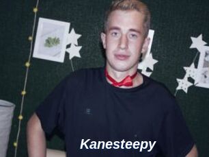 Kanesteepy