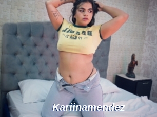 Kariinamendez