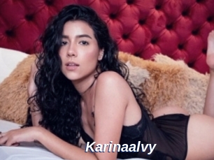 Karinaalvy