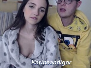 Karinaandigor