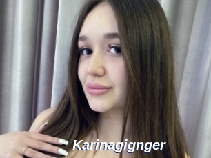 Karinagignger