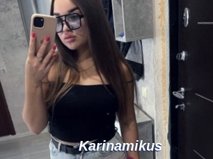 Karinamikus