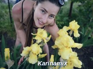 Karinamix
