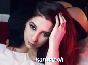 Karinanoir