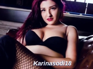 Karinasodi18
