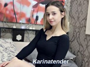Karinatender