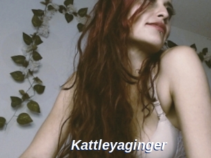 Kattleyaginger