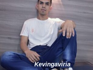 Kevingaviria