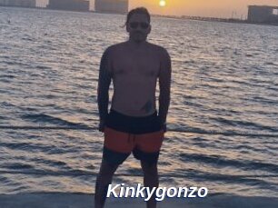 Kinkygonzo