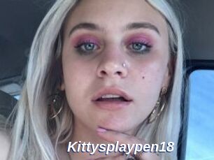 Kittysplaypen18