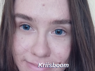 Kriisboom