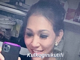 Kulkoginikutifi