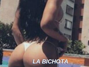 LA_BICHOTA