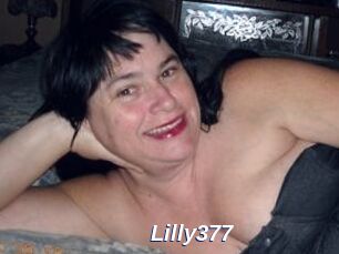 Lilly377
