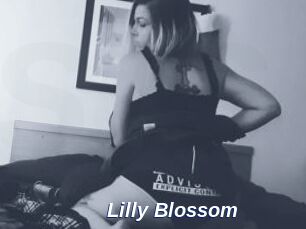 Lilly_Blossom