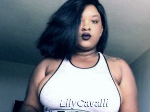 Lily_Cavalli