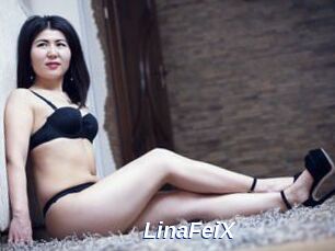 LinaFeiX